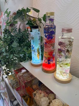 ずこうしつ〜sugamo〜に投稿された画像（2022/11/3）