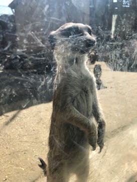 よこはま動物園ズーラシアに投稿された画像（2022/11/3）