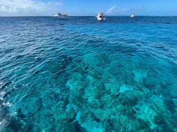 NEWS那覇店に投稿された画像（2022/11/3）