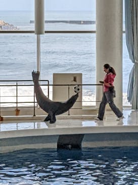 アクアワールド茨城県大洗水族館に投稿された画像（2022/11/3）