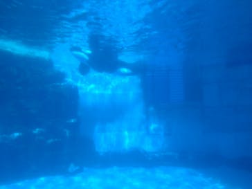 名古屋港水族館に投稿された画像（2022/11/3）