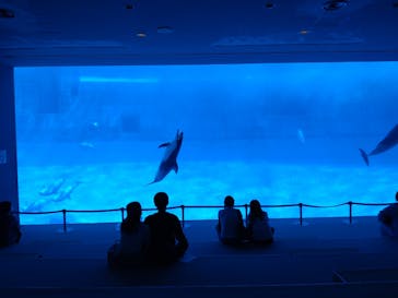 名古屋港水族館に投稿された画像（2022/11/3）