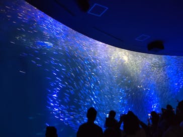 名古屋港水族館に投稿された画像（2022/11/3）