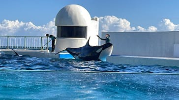 鴨川シーワールドに投稿された画像（2022/11/3）