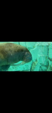 南知多ビーチランド＆南知多おもちゃ王国に投稿された画像（2022/11/3）