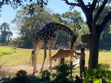天王寺動物園に投稿された画像（2022/11/3）