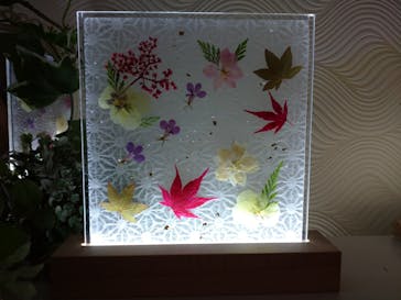 ずこうしつ〜sugamo〜に投稿された画像（2022/11/3）