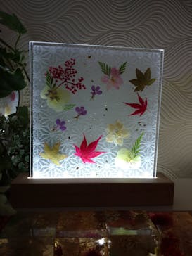 ずこうしつ〜sugamo〜に投稿された画像（2022/11/3）