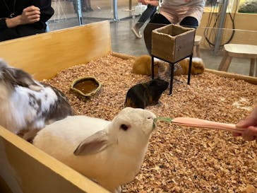 Moff アニマル カフェ イーアス 高尾店に投稿された画像（2022/11/3）