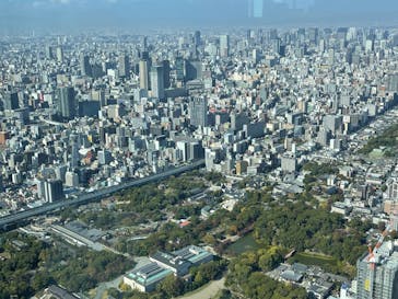 ハルカス300(展望台)に投稿された画像（2022/11/3）