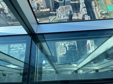 ハルカス300(展望台)に投稿された画像（2022/11/3）