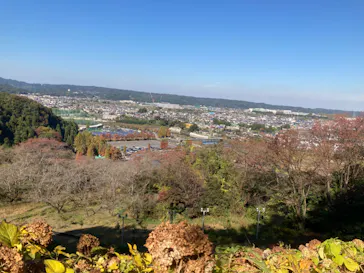 わんダフルネイチャーヴィレッジに投稿された画像（2022/11/3）