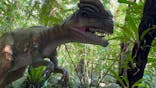御菓子御殿　名護店　やんばる亜熱帯の森DINO恐竜PARKに投稿された画像（2022/11/3）