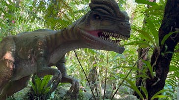 御菓子御殿　名護店　やんばる亜熱帯の森DINO恐竜PARKに投稿された画像（2022/11/3）