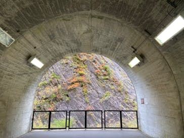 清津峡渓谷トンネルに投稿された画像（2022/11/3）