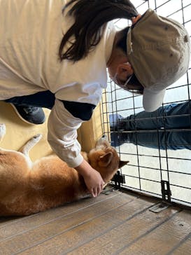 世界の名犬牧場に投稿された画像（2022/11/3）