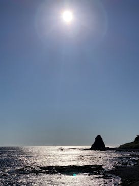 串本海中公園水族館に投稿された画像（2022/11/3）