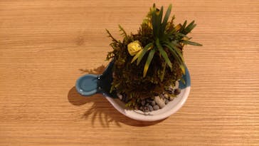 伊勢夫婦岩めおと横丁　めおと岩アクティビティに投稿された画像（2022/11/3）