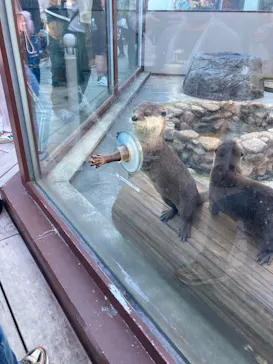 横浜・八景島シーパラダイスに投稿された画像（2022/11/3）
