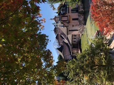 河口湖 音楽と森の美術館に投稿された画像（2022/11/3）