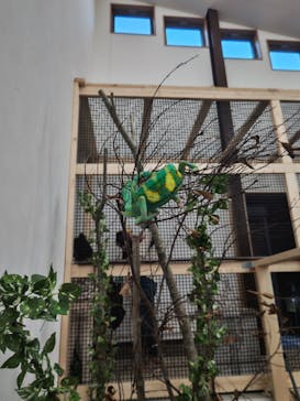 しろとり動物園に投稿された画像（2022/11/3）