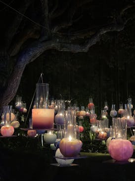 江の島シーキャンドルに投稿された画像（2022/11/3）