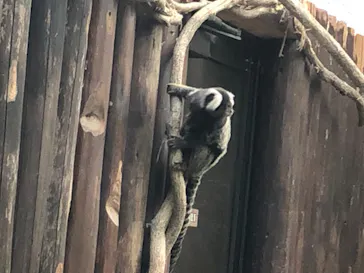 神戸どうぶつ王国に投稿された画像（2022/11/3）