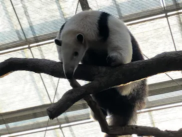 神戸どうぶつ王国に投稿された画像（2022/11/3）