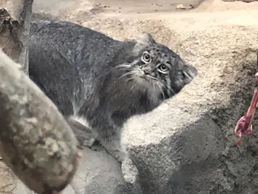 神戸どうぶつ王国に投稿された画像（2022/11/3）