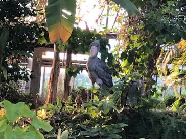 神戸どうぶつ王国に投稿された画像（2022/11/3）