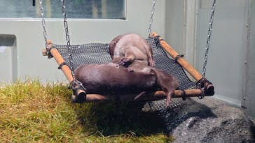 サンシャイン水族館に投稿された画像（2022/11/3）