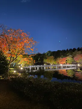 国営昭和記念公園 秋の夜散歩に投稿された画像（2022/11/3）