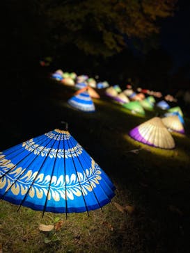 国営昭和記念公園 秋の夜散歩に投稿された画像（2022/11/3）