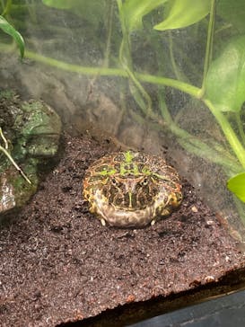 サンシャイン水族館に投稿された画像（2022/11/3）