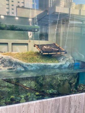 サンシャイン水族館に投稿された画像（2022/11/3）