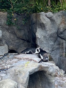 サンシャイン水族館に投稿された画像（2022/11/3）