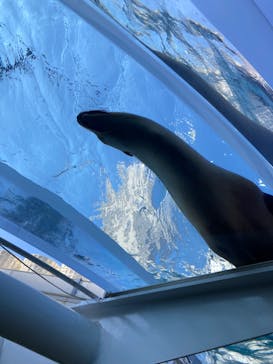 サンシャイン水族館に投稿された画像（2022/11/3）