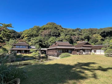 三溪園に投稿された画像（2022/11/3）