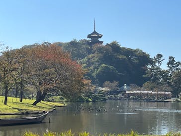 三溪園に投稿された画像（2022/11/3）