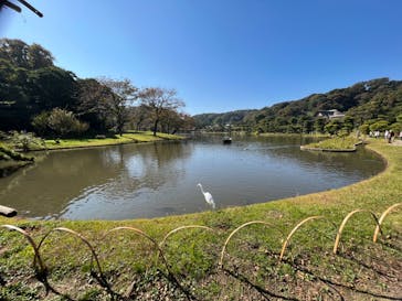 三溪園に投稿された画像（2022/11/3）