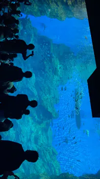 仙台うみの杜水族館に投稿された画像（2022/11/3）
