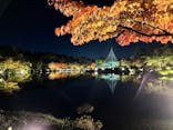 国営昭和記念公園 秋の夜散歩に投稿された画像（2022/11/3）