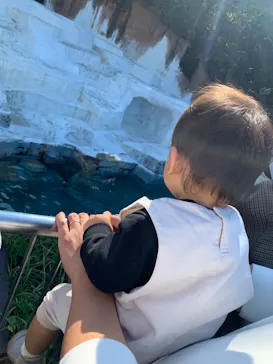 天王寺動物園に投稿された画像（2022/11/3）