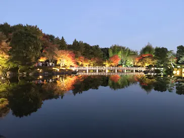 国営昭和記念公園 秋の夜散歩に投稿された画像（2022/11/3）