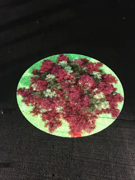 国営昭和記念公園 秋の夜散歩に投稿された画像（2022/11/3）