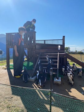 名古屋港水族館に投稿された画像（2022/11/3）