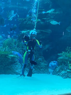 名古屋港水族館に投稿された画像（2022/11/3）