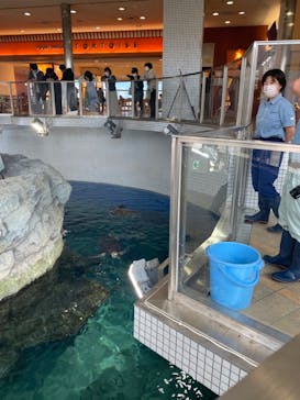 名古屋港水族館に投稿された画像（2022/11/3）