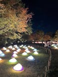 国営昭和記念公園 秋の夜散歩に投稿された画像（2022/11/3）