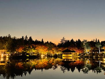 国営昭和記念公園 秋の夜散歩に投稿された画像（2022/11/3）